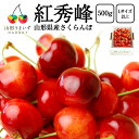 6月下旬頃より発送予定|プレミアム さくらんぼ 紅秀峰 500g ( Lサイズ 以上 / バラ詰め ) サクランボ 山形 バラ 山形県産 家庭用 おうち用 贈答...