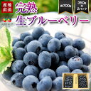 予約受付中:7月中旬頃より発送予定|山形 完熟 生ブルーベリー 700g ( 350g×2パック ) 箱入り ブルーベリー 国産 フルーツ 果物 山形県産 農薬...