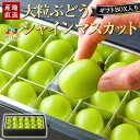 おらほぶんど 大粒 ぶどう シャインマスカット 【 ギフトボックス 入り 】 ギフト 山形 産地直送 皮ごと食べられる ブドウ 種なし シャイン マスカット 葡萄 甘い 贈り物 プレゼント フルーツ 果物 フルーツギフト 贈答 人気