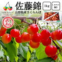 予約受付中:6月中旬頃より発送予定|訳あり さくらんぼ 佐藤錦 1kg ( L M サイズ 混合 / バラ詰め / 双子果 など ) 山形県産 サクランボ 1キ...