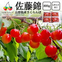 予約受付中:6月中旬頃より発送予定|厳選 さくらんぼ 佐藤錦 800g ( Lサイズ 以上 / 200g×4パック ) 山形 ギフト サクランボ チェリー 家庭...