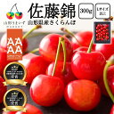 予約受付中:6月中旬より発送予定| 特秀 さくらんぼ 佐藤錦 300g ( Lサイズ 以上 / バラ詰め ) ギフト 特秀品 山形県産 サクランボ チェリー 化...