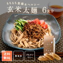 モチモチ♪ ヘルシー【送料無料】無添加 う米めん 玄米 太麺 120g×6食分 セット お徳用 国産 米粉麺 グルテンフリー 麺 小麦 アレルギー うどん パスタ ヌードル ギフト おいしい 低GI 健康 ミネラル 糖質制限 食物繊維 ダイエット 腸活 米粉 プレゼント バレンタイン 冬