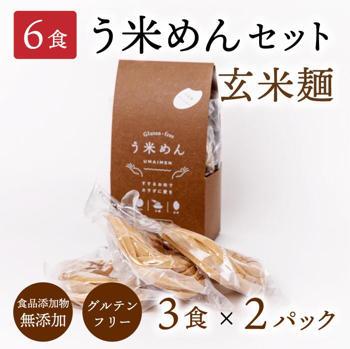 楽天う米めん　楽天市場店モチモチ♪ ヘルシー【ギフト / 送料無料】無添加 う米めん 玄米 太麺 100g×全6食（3食×2パック） お徳用 玄米麺 グルテンフリー うまい 麺 小麦アレルギー うどん パスタ プレゼント 贈り物 健康 食品 低GI 血糖値 糖質制限 食物繊維 ダイエット グルメ 冬 バレンタイン