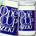 大関 佳撰 ワンカップ180ml瓶×2ケース(全60本) 送料無料