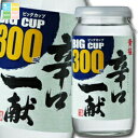 黄桜 辛口一献300mlビッグカップ×2ケース(全40本) 送料無料