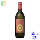 濱田酒造 25度 CHILL GREEN bitter&tropical720ml瓶×2ケース(全12本)送料無料