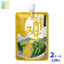 マルコメ からし酢みそ100gスパウト付きパウチ×2ケース(全120本)送料無料