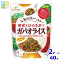 マルコメ ダイズラボ ガパオライス(2~3人分)158g袋×2ケース(全40本) 送料無料