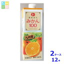 ジューシー みかん100 1L紙パック×2ケース(全12本)送料無料(4)