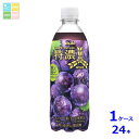 アサヒ 三ツ矢 特濃グレープスカッシュ 500ml×1ケース(全24本)送料無料