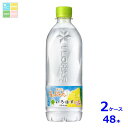 コカコーラ いろはす 塩とれもん 540ml×2ケース(全48本) 送料無料