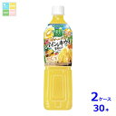 先着限りクーポン付 カゴメ 野菜生活100 Wゴールデンパイン&キウイミックス720ml×2ケース(全30本) 送料無料【co】(4)
