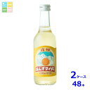 友桝飲料 信州杏 サイダー245ml瓶×2ケース(全48本)送料無料