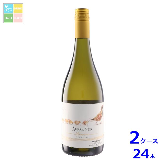 デル スール シャルドネ レセルバ750ml瓶×2ケース（全24本）送料無料