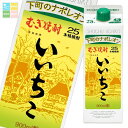 いいちこ 25度 900mlスリムパック×2ケース(全12本) 送料無料