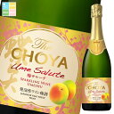 チョーヤ 梅酒 The CHOYA 梅サルーテ750ml瓶×2ケース(全12本) 送料無料