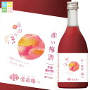 合同 鴬宿梅 赤い梅酒495ml瓶×2ケース(全12本) 送料無料