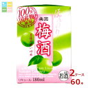 清洲桜醸造 楽園 梅酒 ミニ 180ml紙パック×2ケース(全60本)送料無料