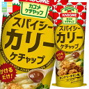 カゴメ スパイシーカリーケチャップ170g×1ケース(全40本) 送料無料