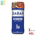 ハウス ギャバン 塩コショー120g×1ケース(全40本) 送料無料