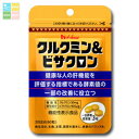 ハウス クルクミン&ビサクロンドリンク粒20日分60粒×1ケース(全30本) 送料無料