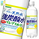 サンガリア 伊賀の天然水強炭酸水グレープフルーツ500ml×1ケース(全24本) 送料無料