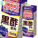 メロディアン 黒酢飲料ブルーベリー 機能性表示食品 200ml 紙パック ×4ケース(全96本) 送料無料