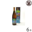 ギャバミン 720ml×6本 沖縄土産 沖縄 土産 健康管理 珍しい 機能性食品