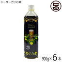 渡具知 シーサーガフの素 900g×6本 沖縄 人気 お酒 土産 珍しい ノビレチン