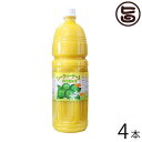 ΂鏤 V[N[T[ lG Zkʏ`100% 1500ml~4{  yY lC V[N[T[ ʏ` mr` hN