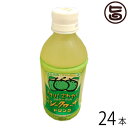 勝山シークヮーサードリンク 350ml×24本セット（1ケース） 沖縄 人気 シークワーサー ノビレチン