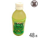 勝山シークヮーサードリンク 350ml×48本セット（2ケース） 沖縄 人気 シークワーサー ノビレチン