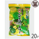 なつかしの寒天菓子(シークァ-サー味)130g×20袋(1ケース) 沖縄 人気 シークワーサー 果汁 健康管理