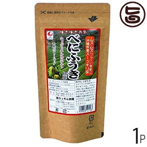 べにふうき緑茶 20包入り×1袋 沖縄土産 沖縄 土産 人気 健康茶 健康管理 ティーパック