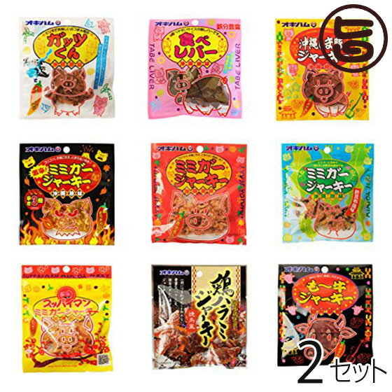 ジャーキー 9種セット×2セット 沖縄土産 沖縄 土産 人気 定番 おつまみ 珍味 送料無料
