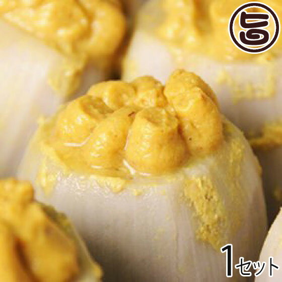 業務用 からし蓮根 5kg×1箱 小田商店 熊本県 九州 名物 定番