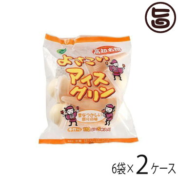 よさこいアイスクリン 110ml×5本入×6袋×2ケース 高知県 四国 デザート 懐かしい ご当地アイス 冬アイス 条件付き送料無料