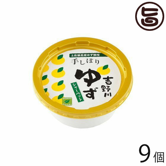 吉野川ゆずシャーベット 150ml×9個 高知県 四国 デザート フルーツ