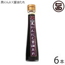 テクノグリーン 黒にんにく醤油たれ 120ml×6本 沖縄 健康管理 調味料 人気 シークワーサー