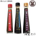 黒にんにく調味料3種セット(ドレッシング、醤油たれ、梅ソース)×各2本 沖縄 健康管理 調味料 人気