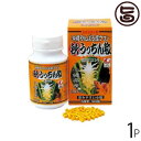 【内容量】　 1000粒（1粒/100mg）×1【賞味期限】　2年【原材料】　 秋ウコン（ウコン）、結晶セルロース、ショ糖エステル【栄養成分表示】(約3g［30粒］当たり)エネルギー ：11kcal/たんぱく質：0.17g/脂質：0.06g/炭水化物：2.38g/ナトリウム：0.9mg/クルクミン：6.6mg　【保存方法】　 高温多湿、直射日光を避け、常温にて保存してください。　【お召上がり方】　1日の摂取量として、20粒〜30粒を目安に適宜お召し上がりください。（例 ：2回〜3回に分けて、 朝・昼・晩 など） お水や白湯と一緒にお召し上がりください。）【沖縄県産ウコン100％使用】秋うっちん（秋ウコン）を粒タイプに仕上げました。沖縄県産ウコンの中でも、産地にこだわり（沖縄県北部・やんばる産）今までのウコンよりも高品質な「沖縄やんばる産ウコン」に生まれ変わりました！やんばるにて無農薬で大切に育てられたウコンだけを使用しております。　 ブランド うっちん沖縄 メーカー名 有限会社　うっちん沖縄 原産国名 日本 産地 沖縄地方 県名 沖縄県 商品説明 ・お酒をよく飲まれる方&#160; ・多忙で食事が不規則な方&#160; ・毎日の健康維持や美容を心掛けている方&#160; 秋ウコンを飲みやすい小粒タイプに仕上げました。&#160; 粉末が苦手な方、是非小粒タイプをお試しください!!沖縄県産ウコン100%使用 クルクミン豊富 二日酔い防止に レターパックプラス便で配送予定です着日指定：×不可 ギフト：×不可 ※生産者より産地直送のため、他商品と同梱できません。※納品書・領収書は同梱できません。　領収書発行は注文履歴ページから行えます。 こちらの商品は全国送料無料です