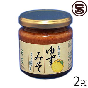ゆずみそ 200g×2瓶 高知県 四国 フルーツ 人気 調味料 お土産 味噌 送料無料