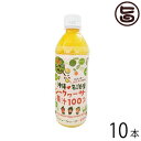 渡具知 沖縄県名護産シークヮーサー果汁100% 500ml×10本 沖縄 土産 人気 シークワサー ジュース ノビレチン