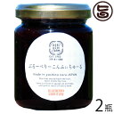 堀うち農園 ぶるーべりーこんふぃちゅーる 140g×2瓶 奈良県 人気 土産 奈良県産 国産 完熟 無添加 ブルーベリーコンフィチュール
