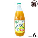 沖縄県本部産 そのまんまウコン 1000ml (冷蔵)×6本 沖縄土産 沖縄 土産 ウコン 健康