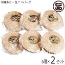 ギフト おもろ企画 沖縄あぐー 生ハンバーグ (150g×6個)×2セット 沖縄 土産 人気 希少 国産 豚肉 あぐー