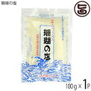 黒糖本舗垣乃花 珊瑚の塩 100g ミニ×1P 沖縄 土産 定番 調味料 しお