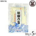 黒糖本舗垣乃花 珊瑚の塩 100g ミニ×5P 沖縄 土産 定番 調味料 しお