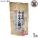 ハネマルフーズ ホルモン揚げ 50g×1袋 沖縄 人気 定番 土産 珍味 つまみ おつまみ 沖縄の塩シママース使用